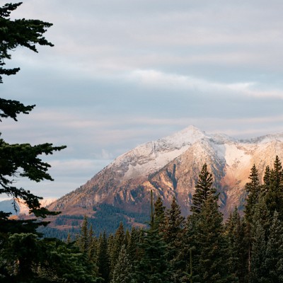 ALZHEIMER MÁS FUERTE EN MUJERES?